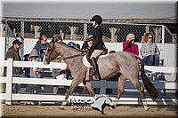 4H-District-17-2051.jpg