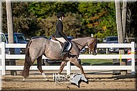 4H-District-17-2054.jpg
