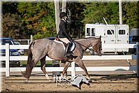 4H-District-17-2055.jpg