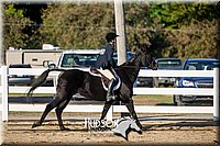 4H-District-17-2057.jpg