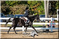 4H-District-17-2058.jpg