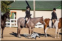 4H-District-17-2070.jpg