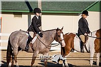 4H-District-17-2077.jpg