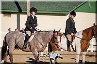 4H-District-17-2080.jpg