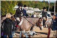 4H-District-17-2082.jpg