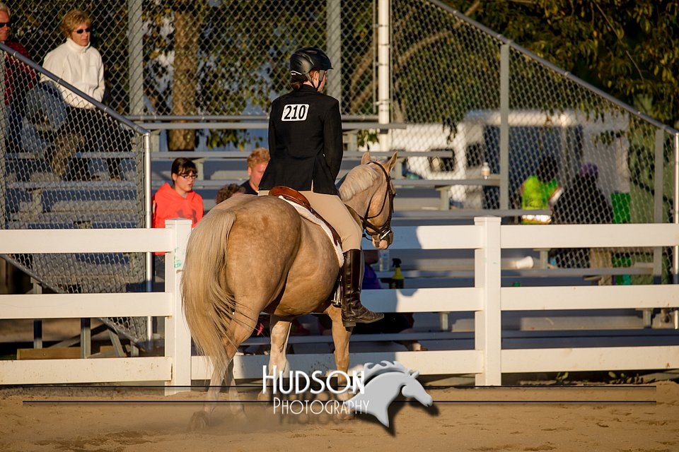 4H-District-17-2140.jpg