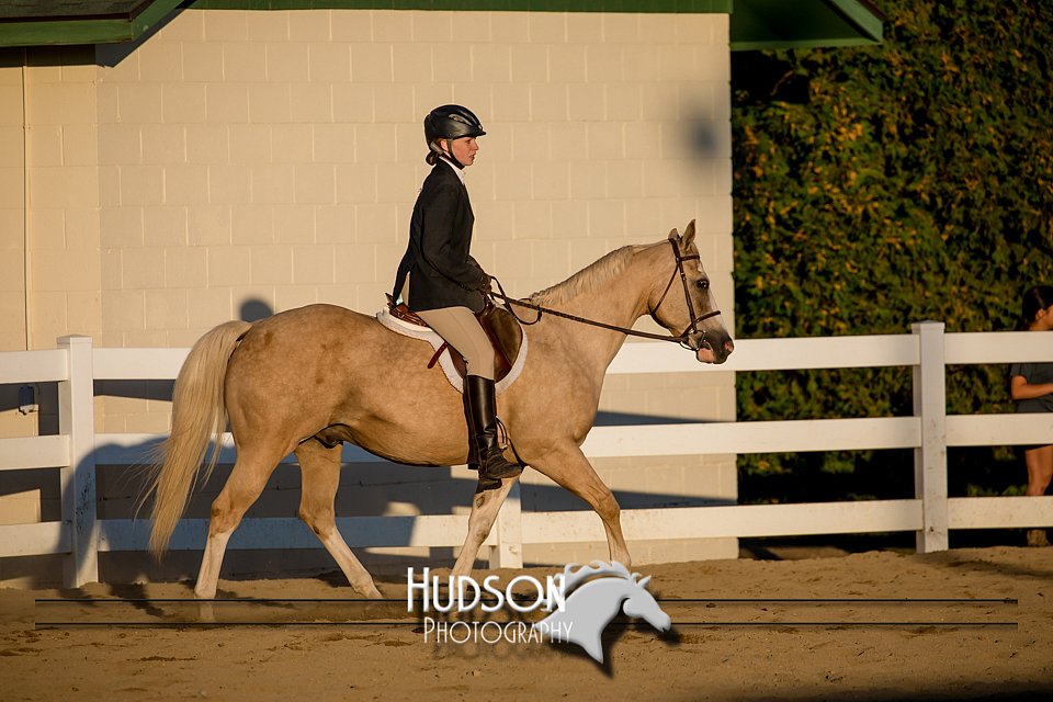 4H-District-17-2142.jpg