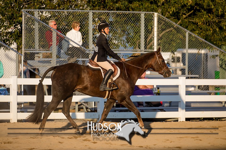4H-District-17-2151.jpg