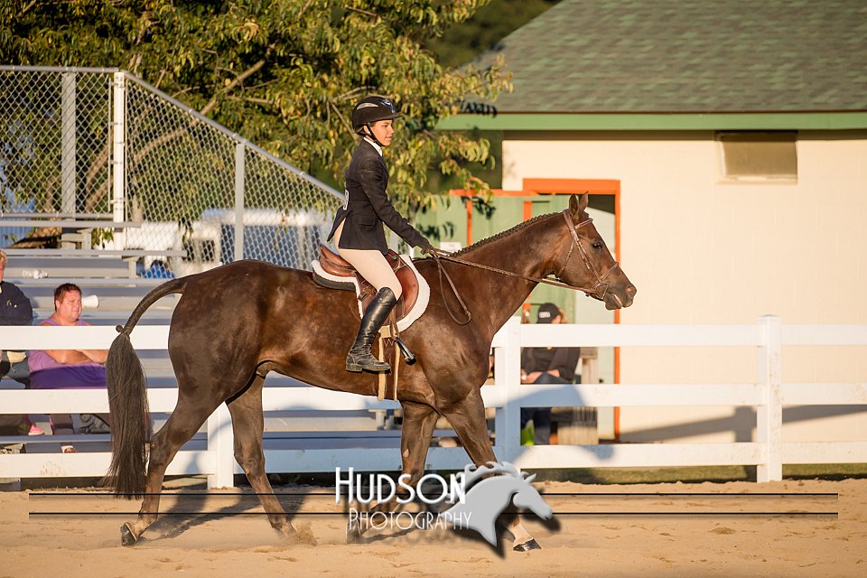 4H-District-17-2152.jpg