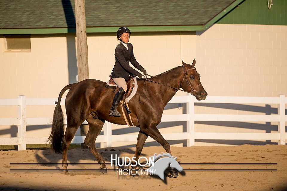 4H-District-17-2153.jpg