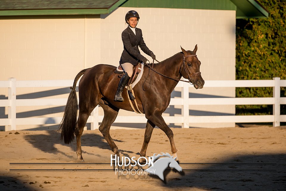 4H-District-17-2154.jpg