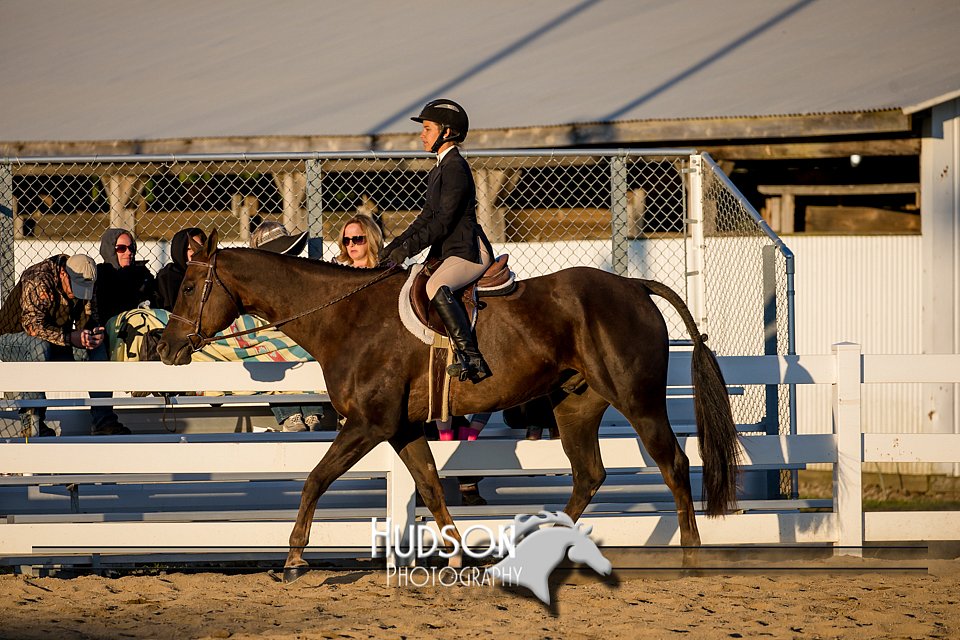 4H-District-17-2156.jpg