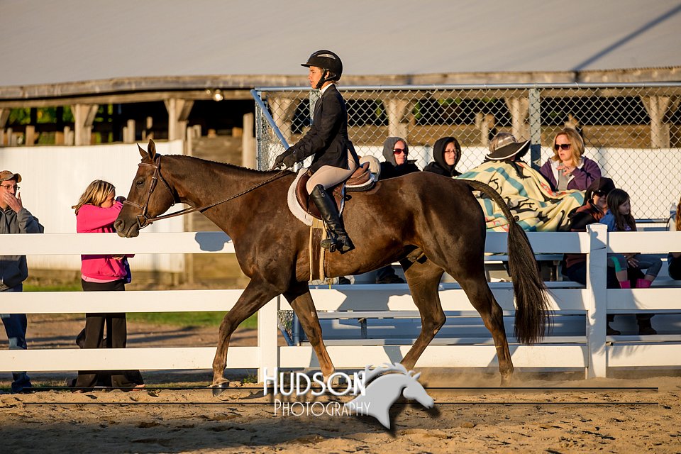 4H-District-17-2157.jpg