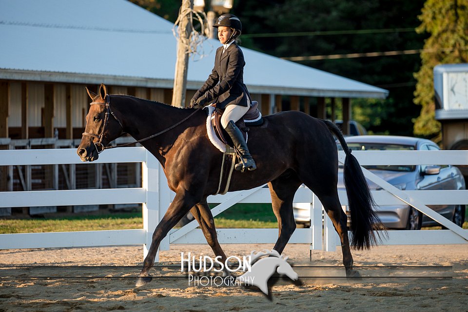 4H-District-17-2161.jpg