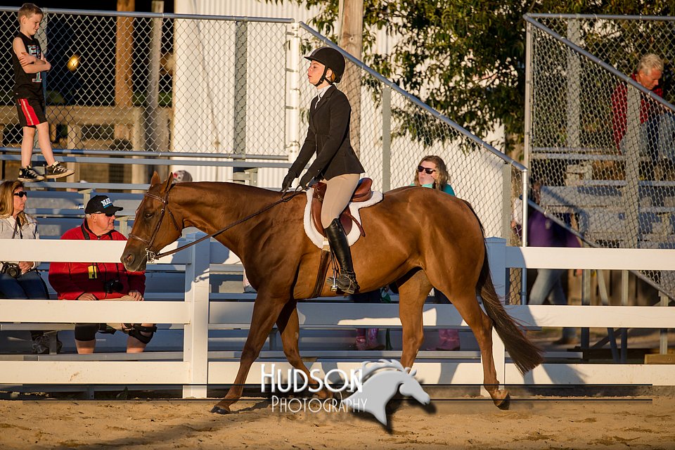 4H-District-17-2162.jpg