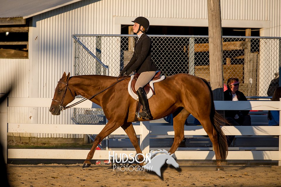 4H-District-17-2164.jpg