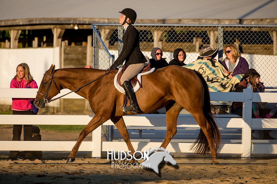 4H-District-17-2166.jpg
