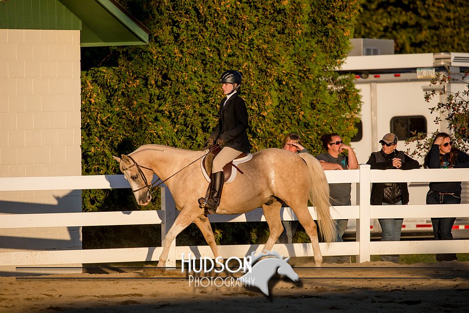 4H-District-17-2168.jpg