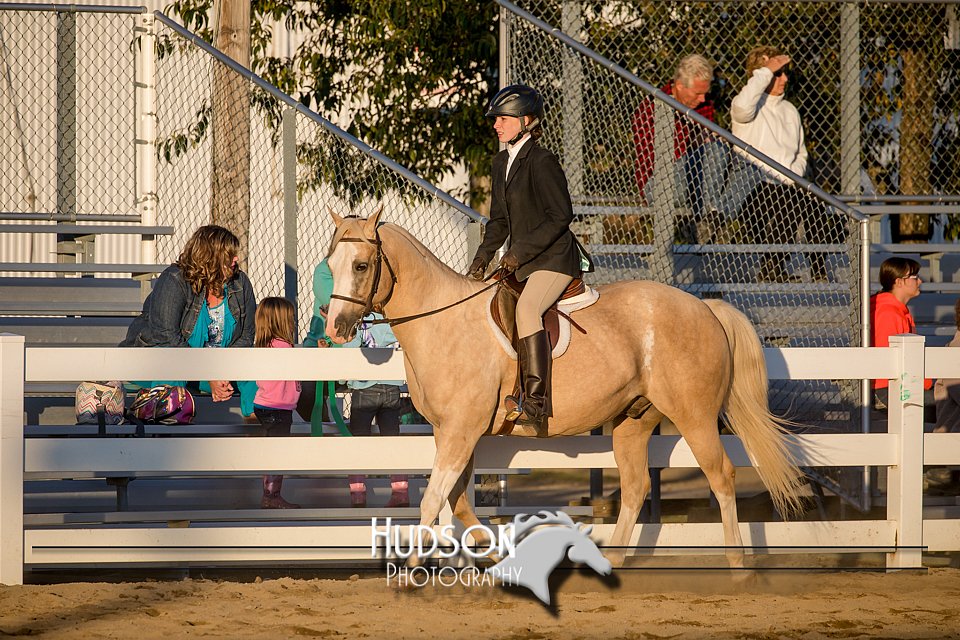 4H-District-17-2169.jpg