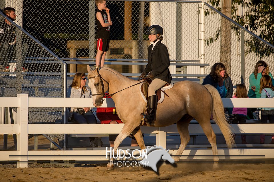 4H-District-17-2170.jpg
