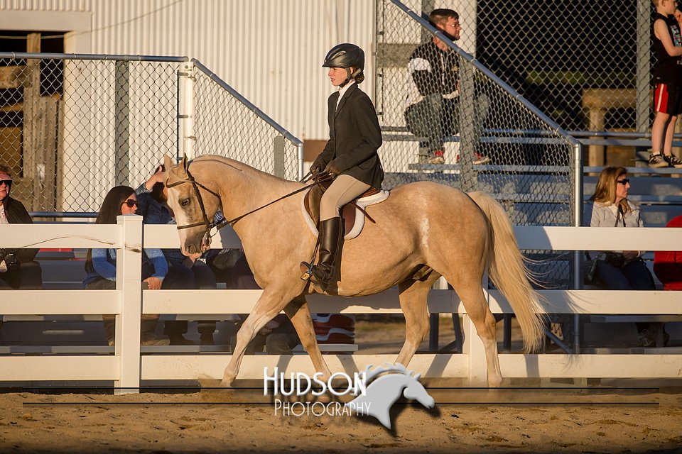 4H-District-17-2171.jpg