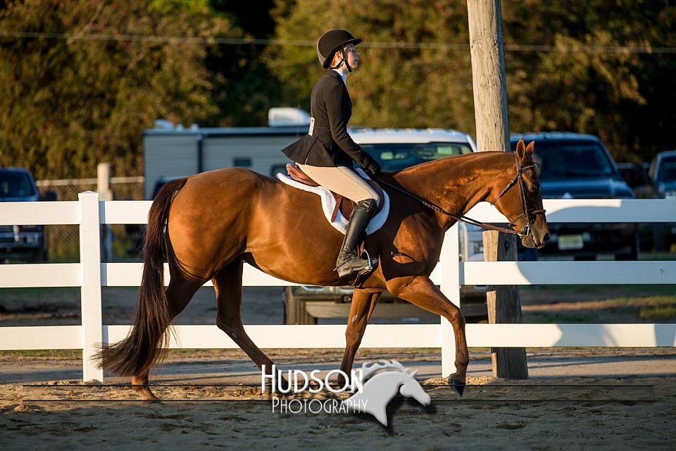 4H-District-17-2176.jpg