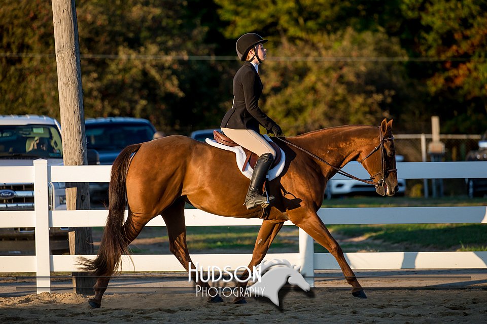 4H-District-17-2177.jpg