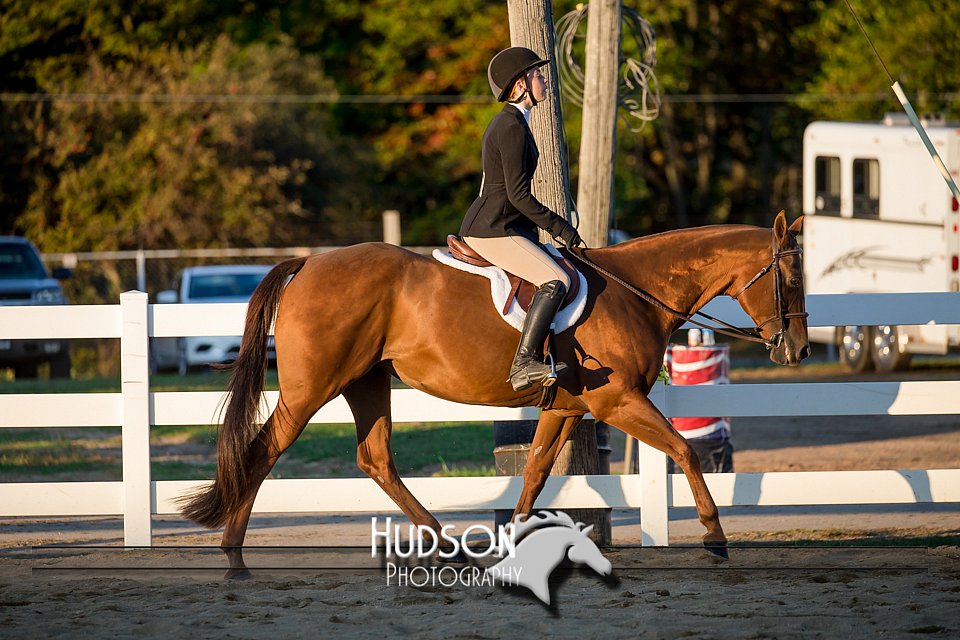 4H-District-17-2178.jpg