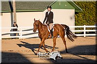 4H-District-17-2120.jpg