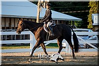 4H-District-17-2161.jpg