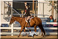 4H-District-17-2163.jpg