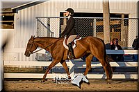 4H-District-17-2164.jpg