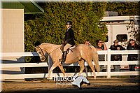 4H-District-17-2168.jpg