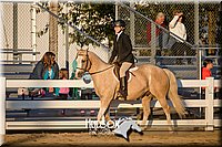 4H-District-17-2169.jpg