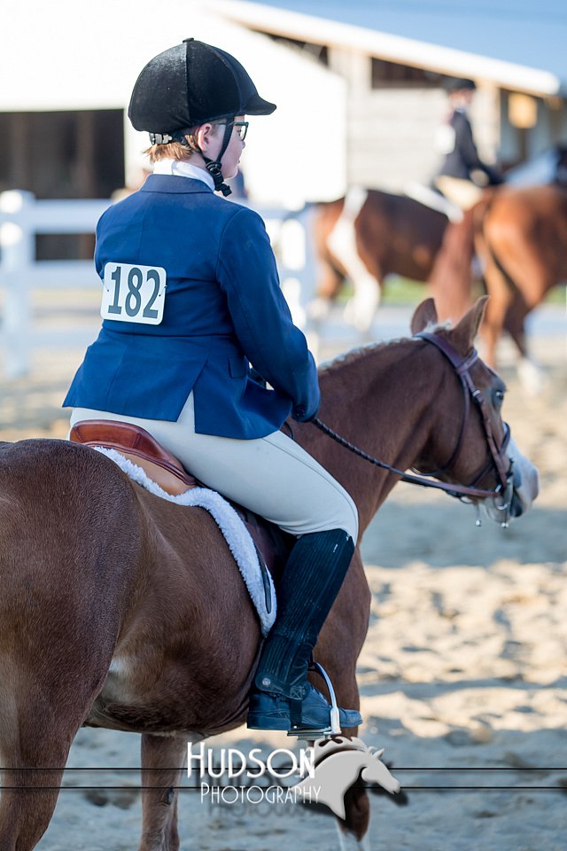 4H-District-17-2110.jpg