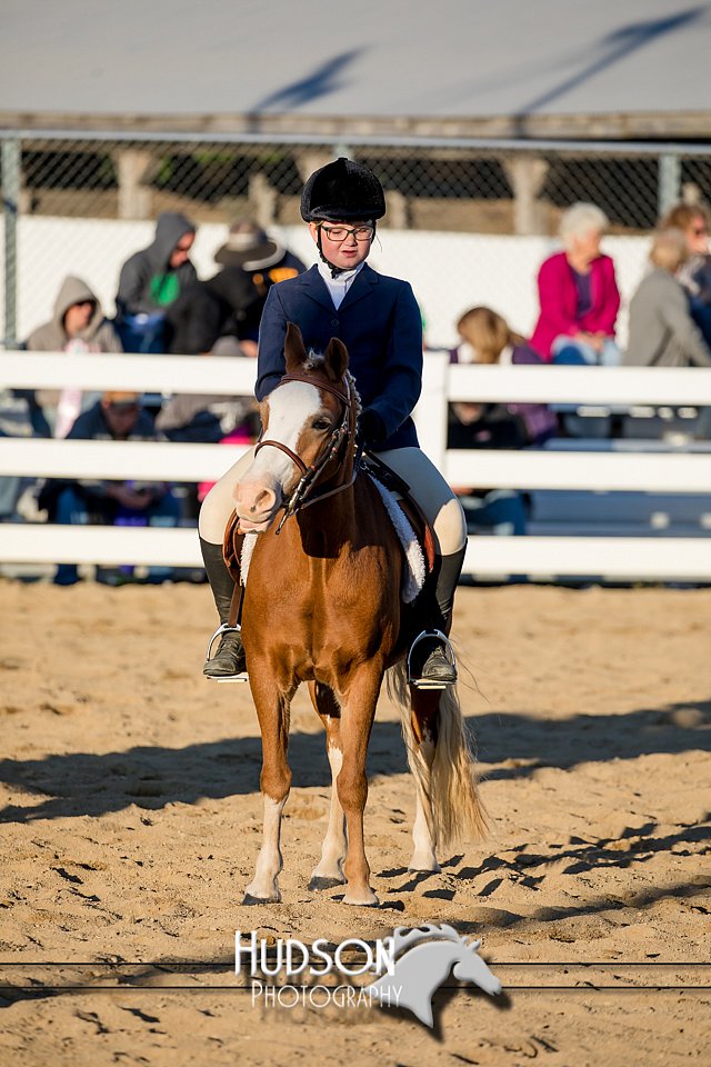 4H-District-17-2111.jpg