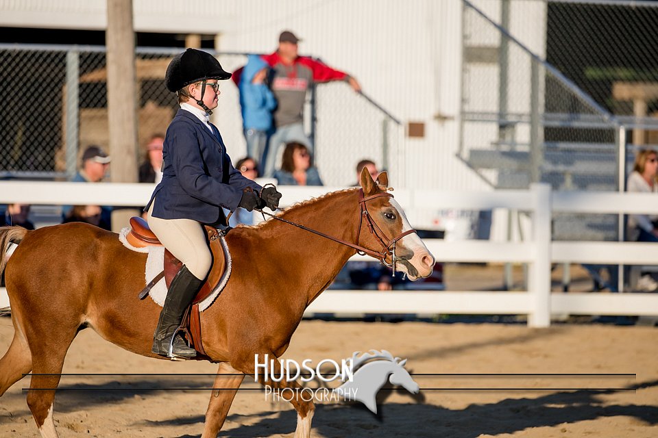 4H-District-17-2114.jpg
