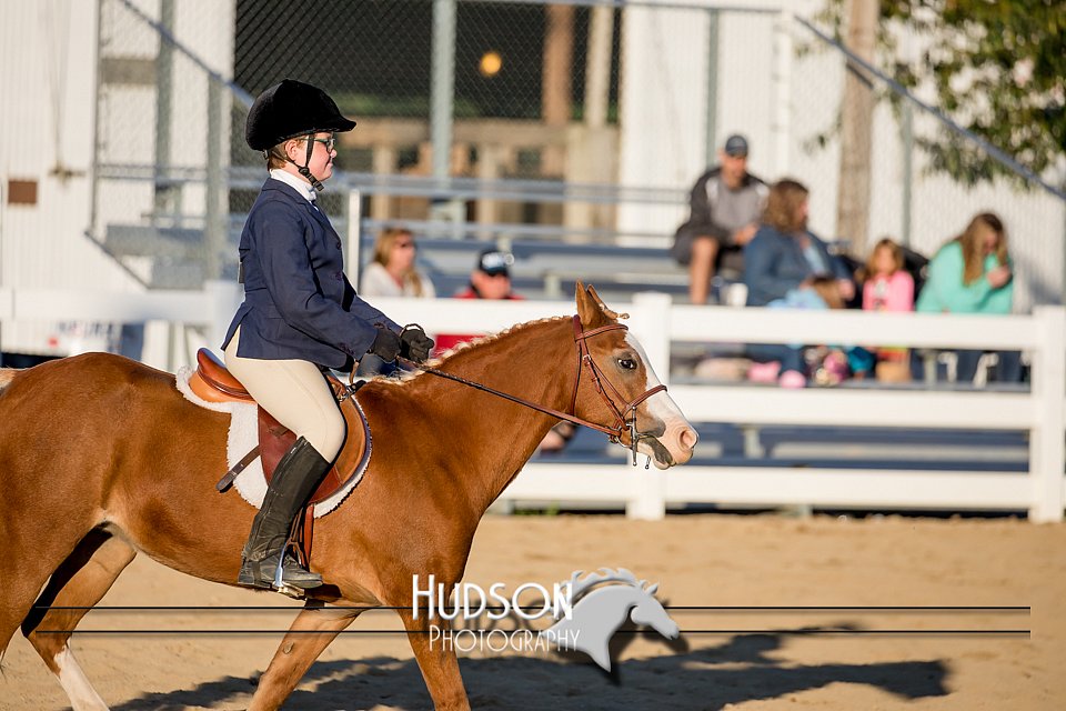 4H-District-17-2116.jpg