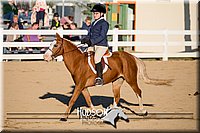 4H-District-17-2099.jpg