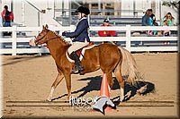 4H-District-17-2100.jpg