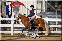 4H-District-17-2101.jpg