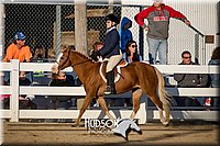 4H-District-17-2102.jpg