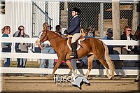 4H-District-17-2103.jpg