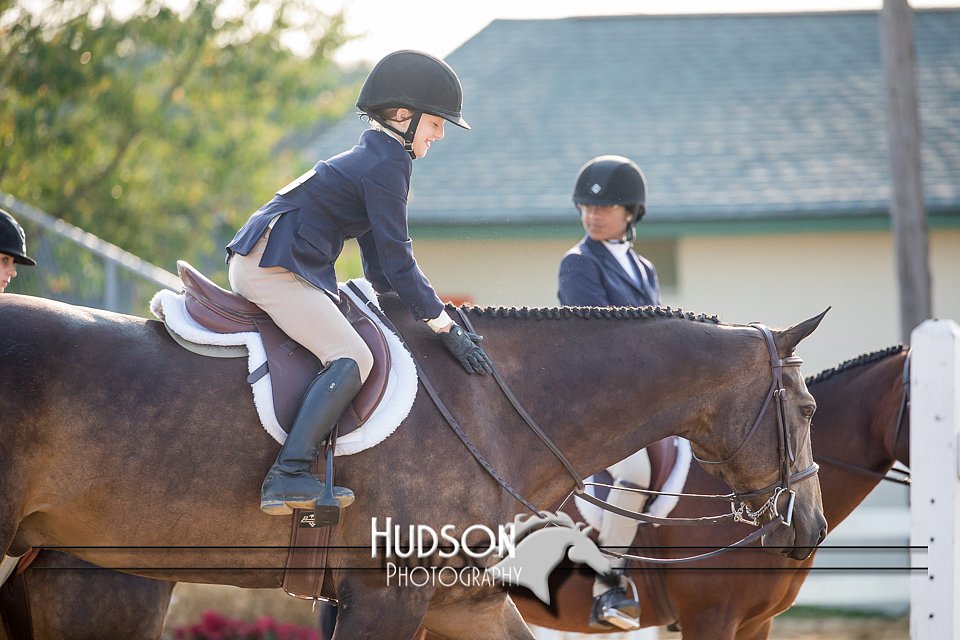 4H-District-17-2306.jpg