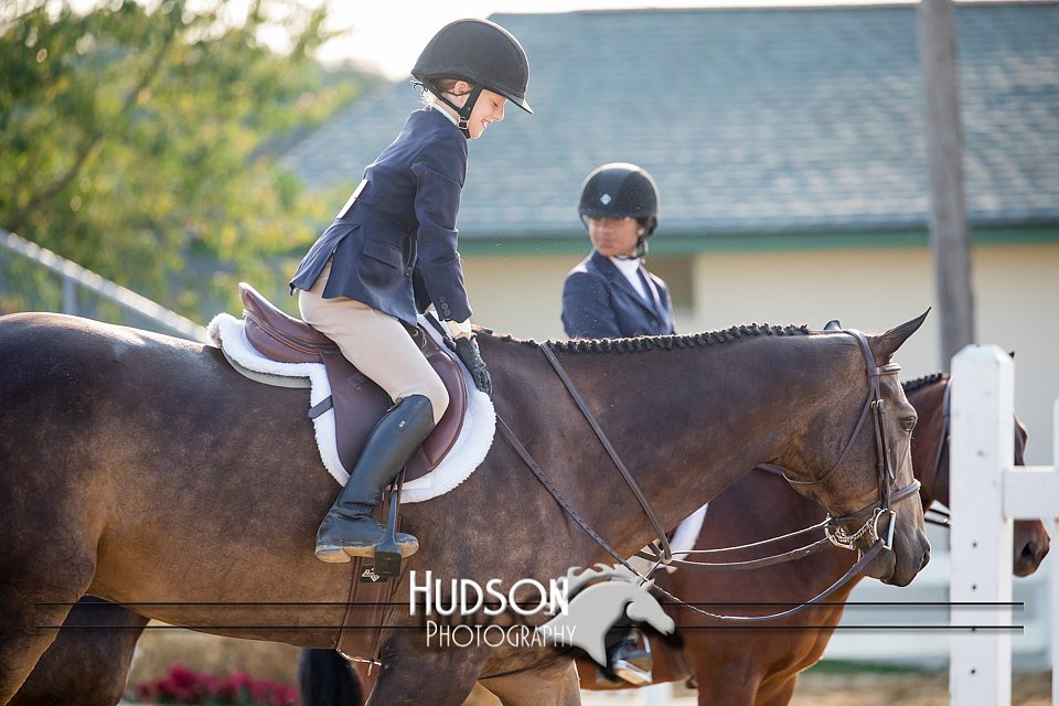4H-District-17-2307.jpg