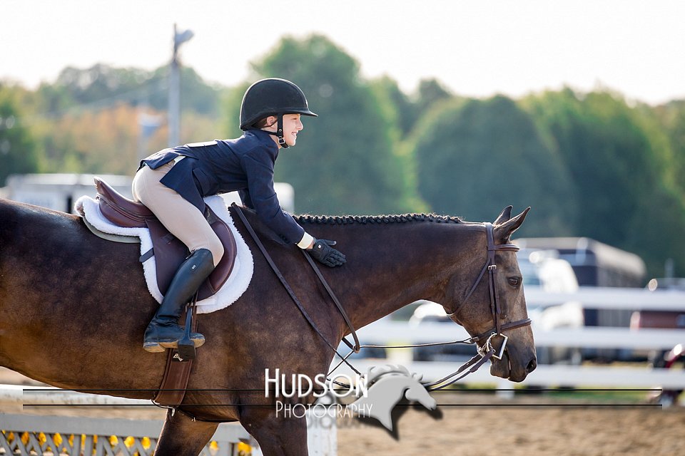 4H-District-17-2309.jpg