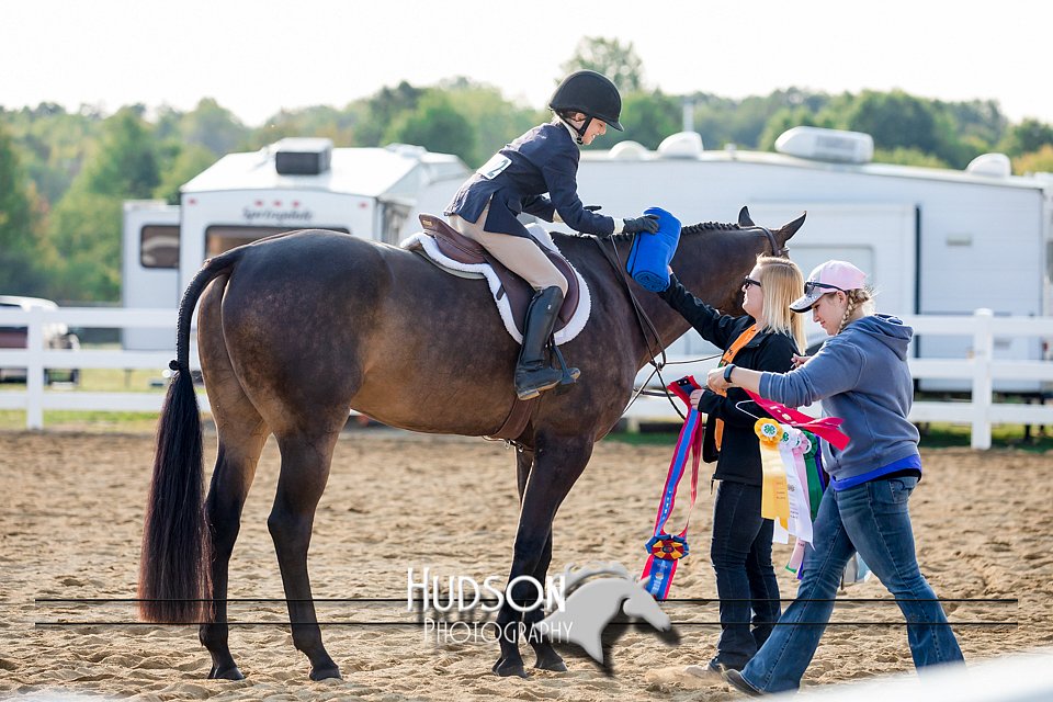 4H-District-17-2311.jpg
