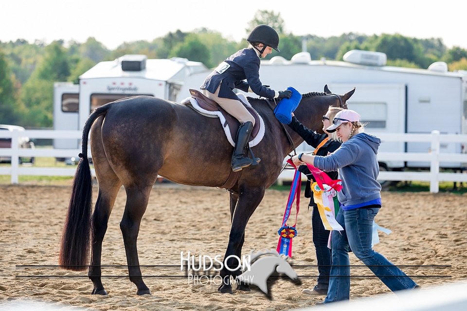 4H-District-17-2312.jpg
