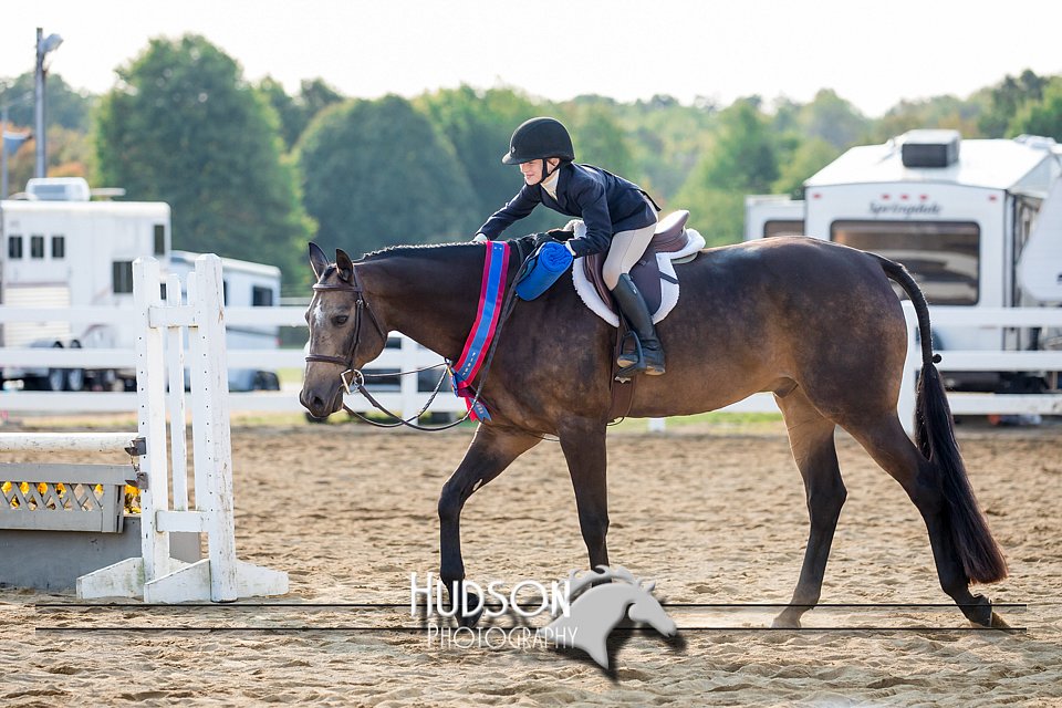 4H-District-17-2317.jpg