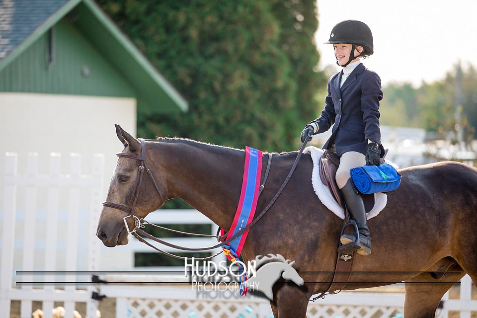 4H-District-17-2323.jpg